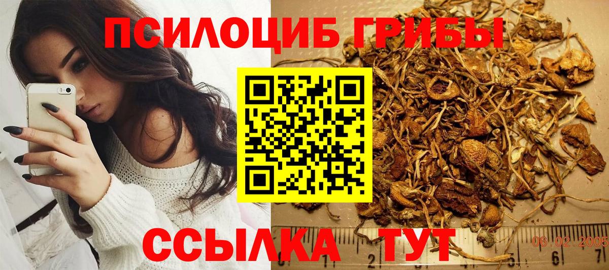 Коряжма  Галлюциногенные грибы ЛСД  Вход с VPN 